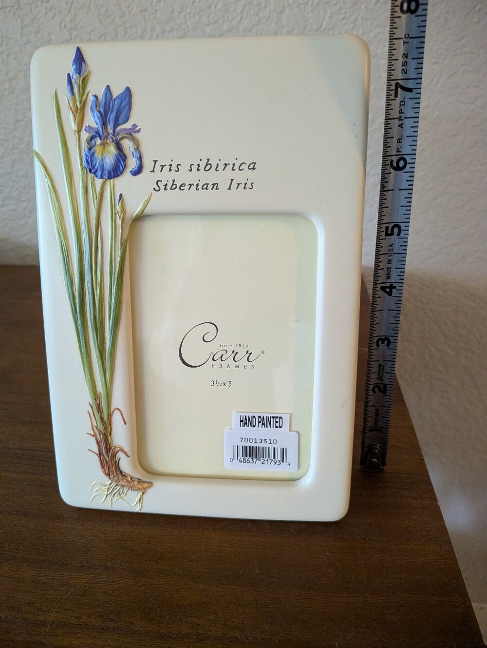 Carr Frames Botanical Garden Iris Floral Picture